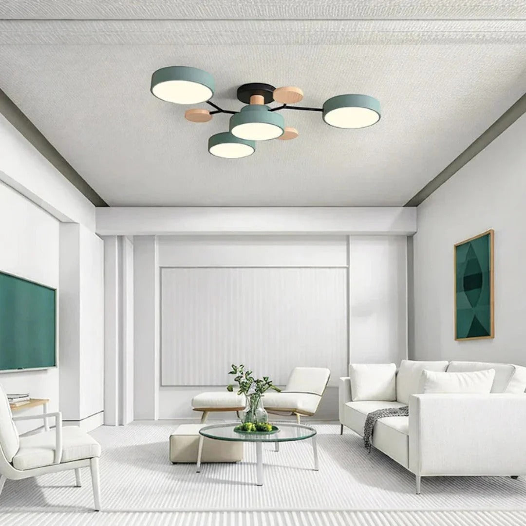 Moderne IJzeren LED Plafondlamp