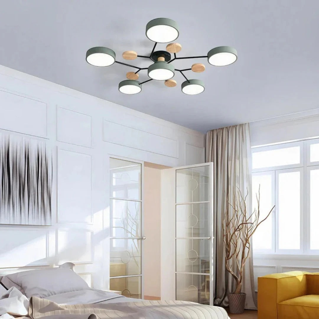 Moderne IJzeren LED Plafondlamp