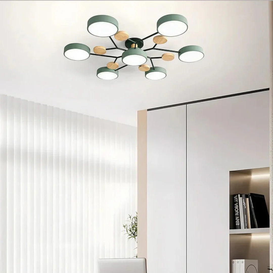 Moderne IJzeren LED Plafondlamp