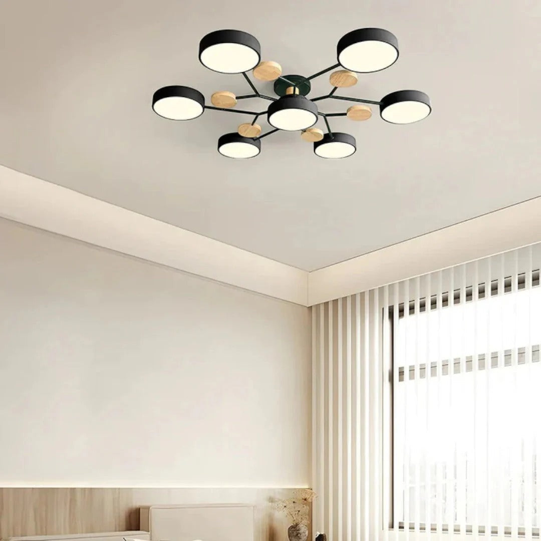 Moderne IJzeren LED Plafondlamp