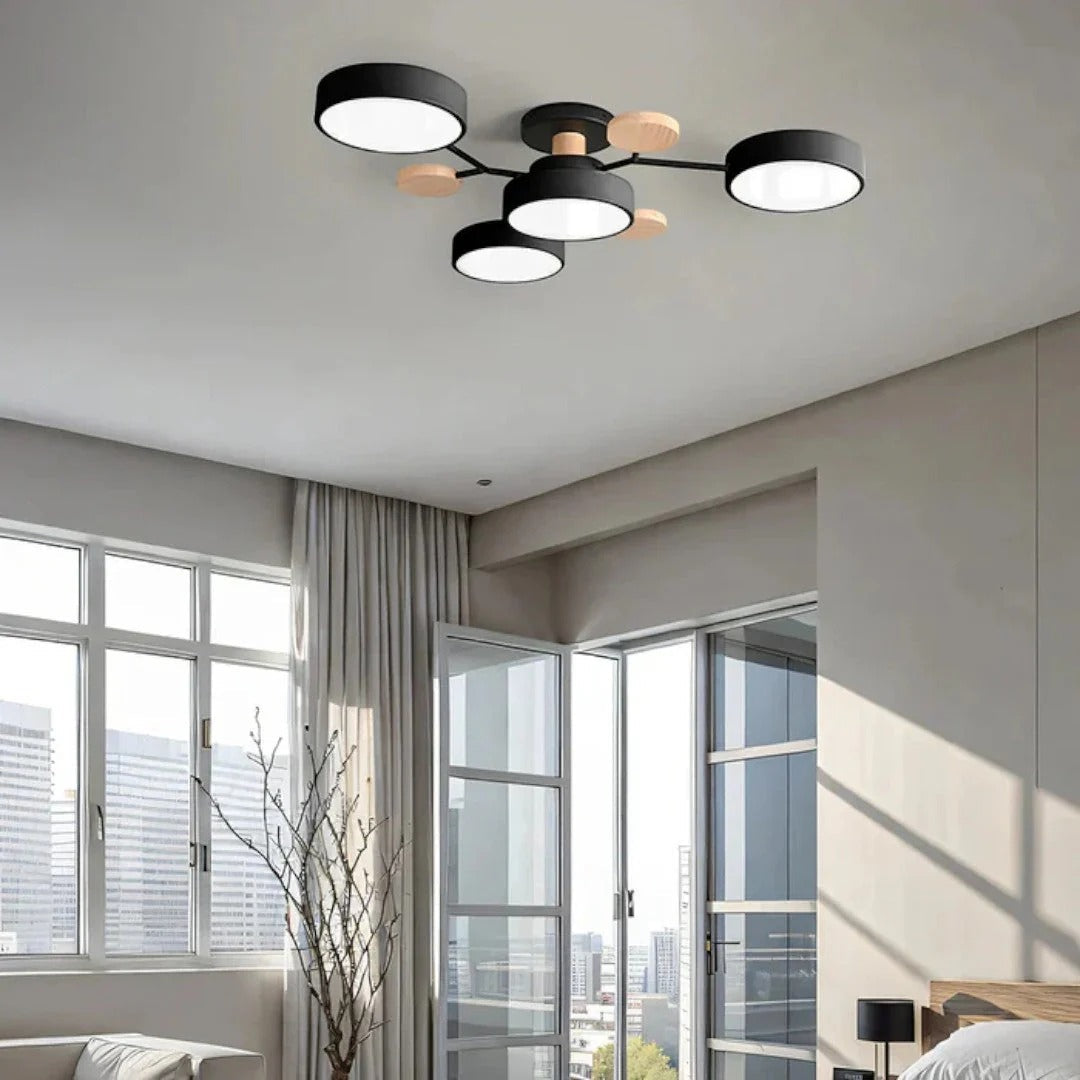 Moderne IJzeren LED Plafondlamp