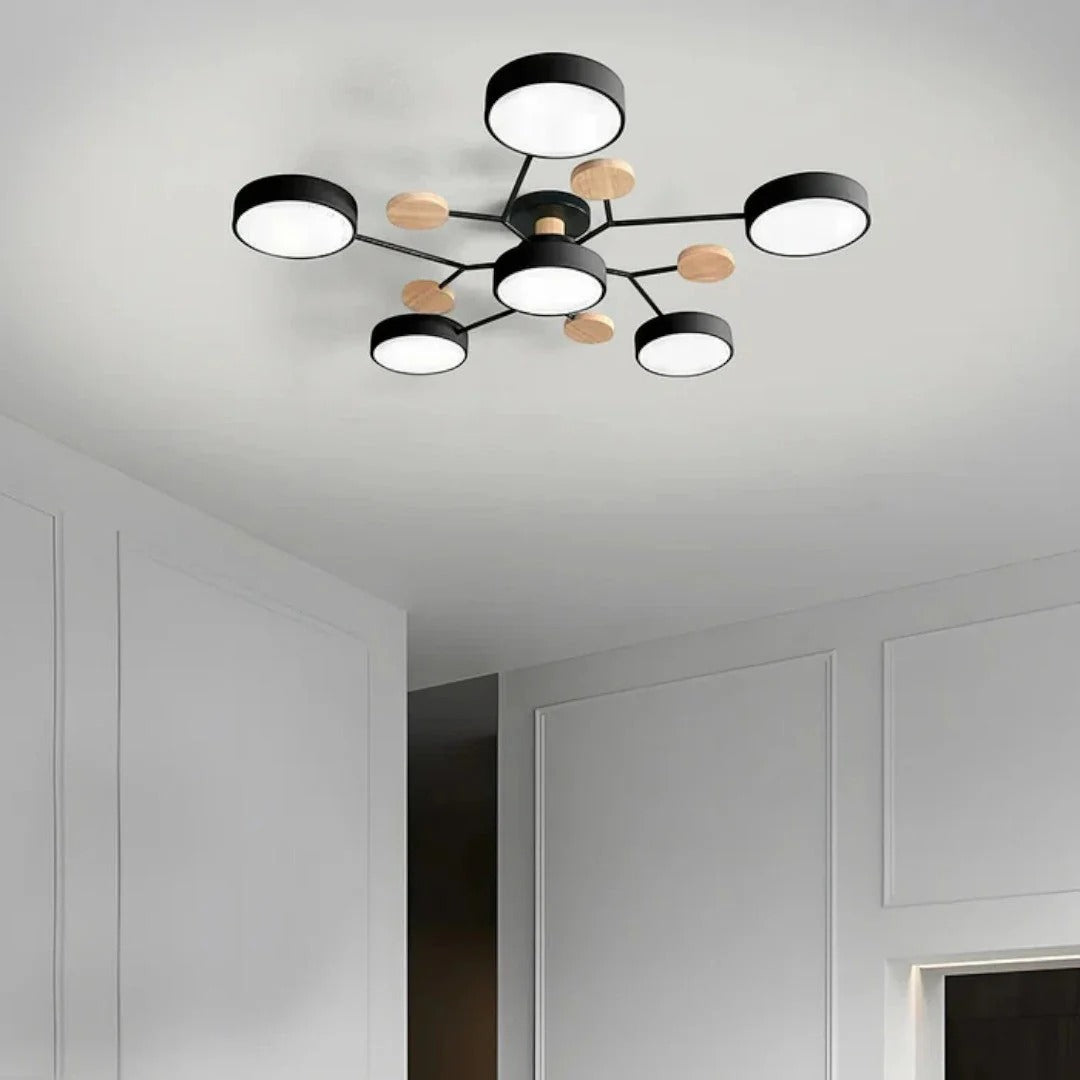 Moderne IJzeren LED Plafondlamp