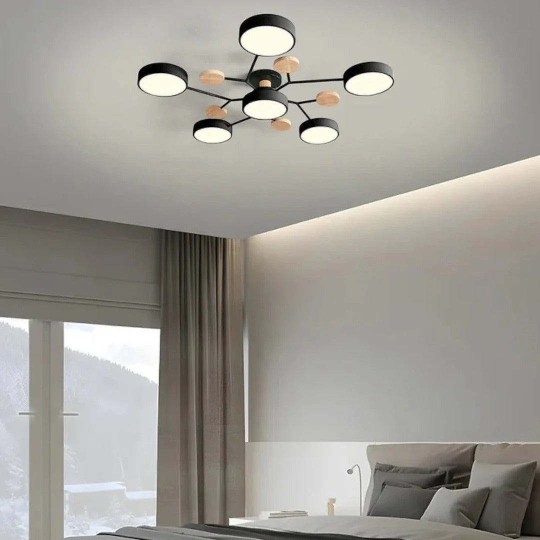 Moderne IJzeren LED Plafondlamp