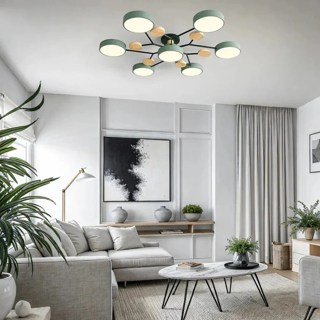 Moderne IJzeren LED Plafondlamp