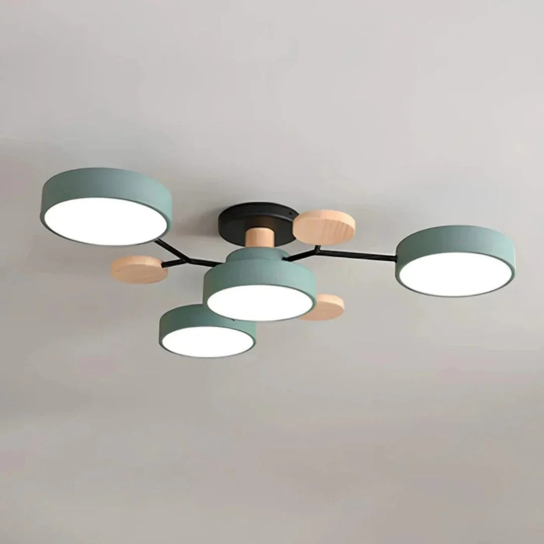 Moderne IJzeren LED Plafondlamp