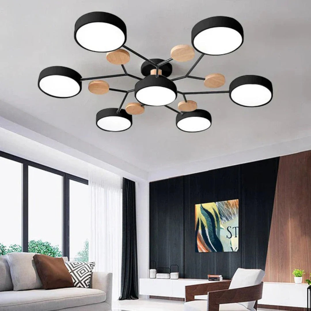 Moderne IJzeren LED Plafondlamp