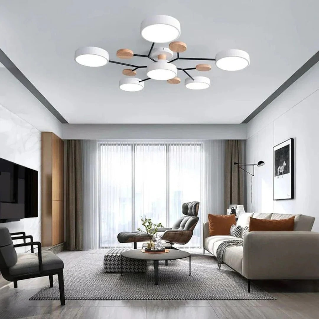Moderne IJzeren LED Plafondlamp