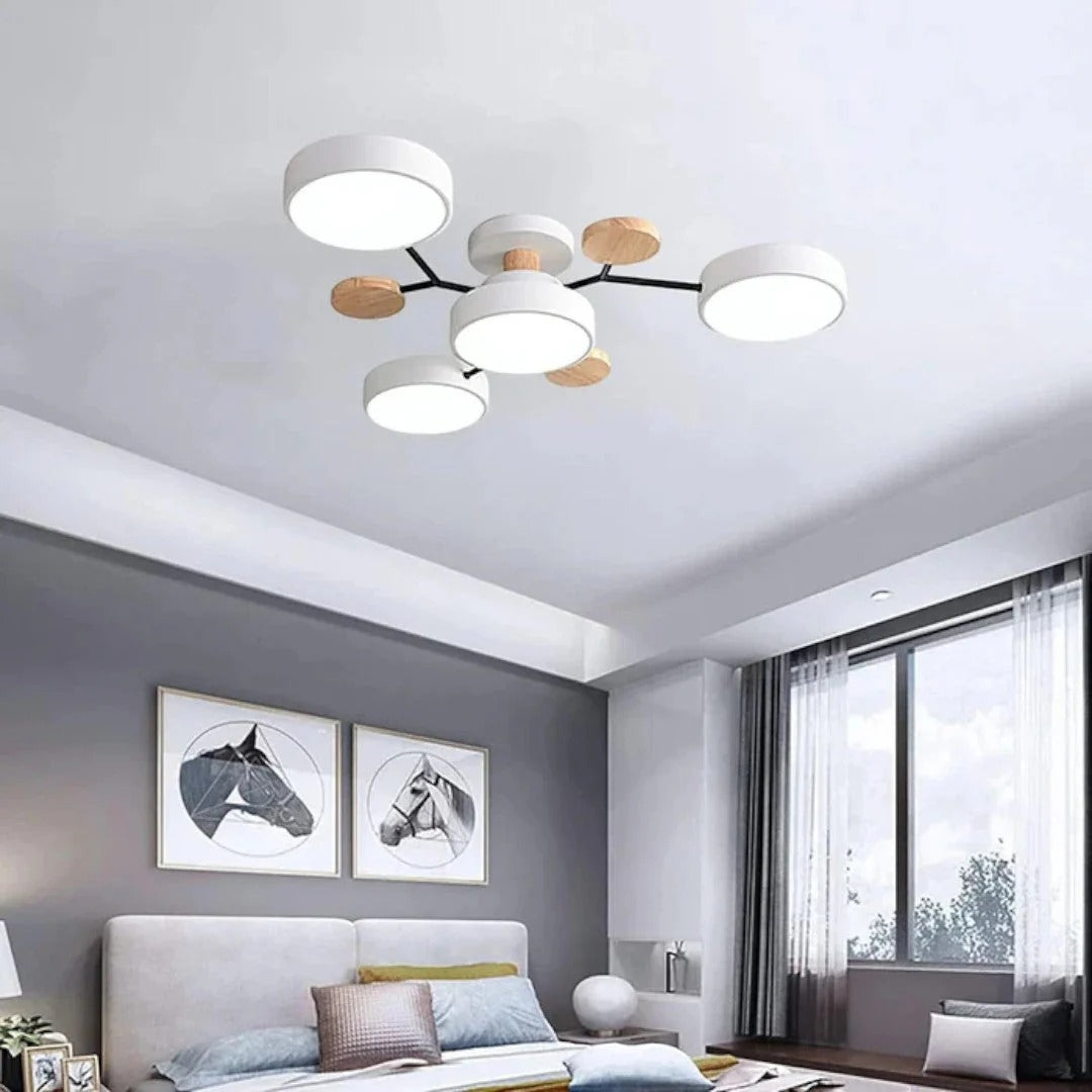 Moderne IJzeren LED Plafondlamp