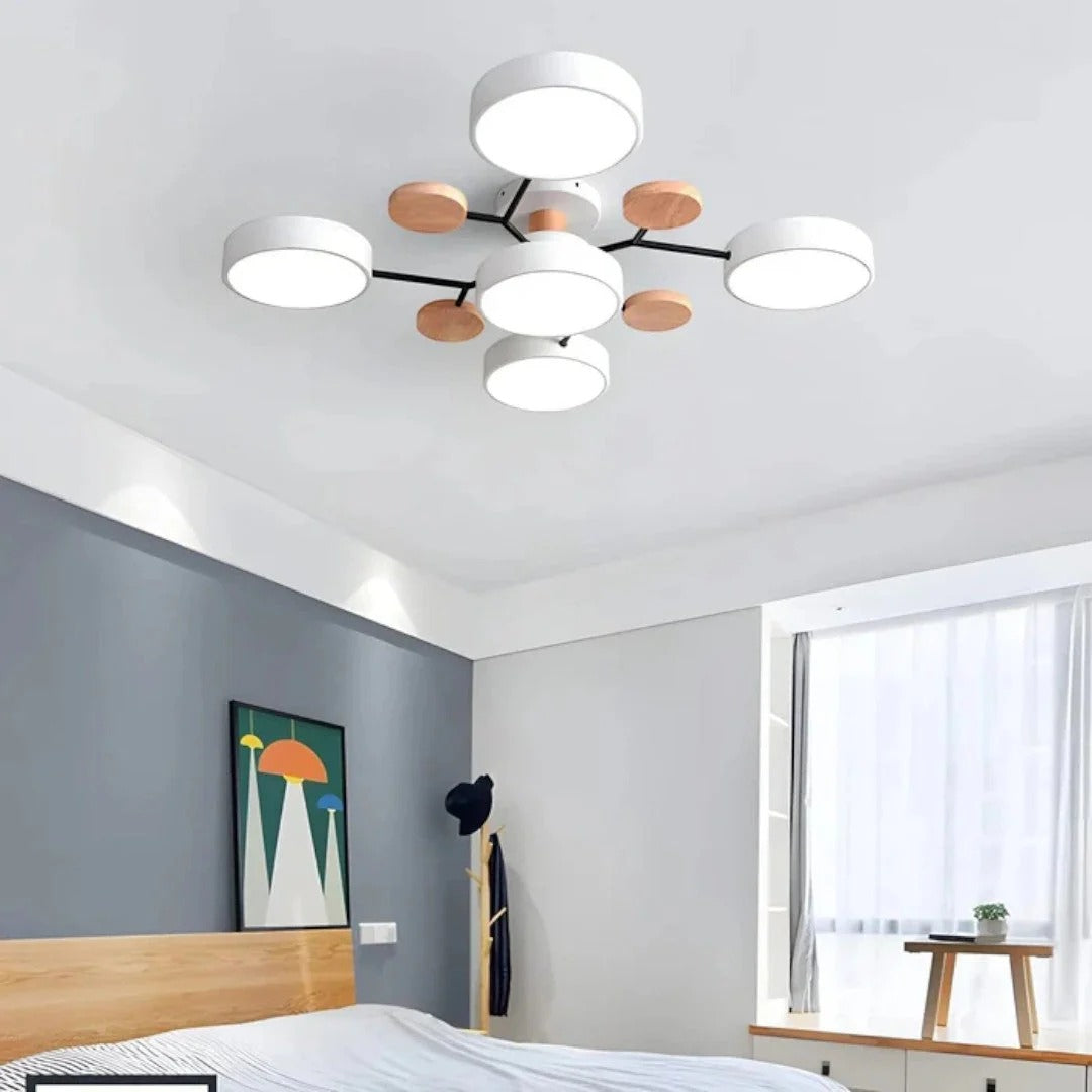 Moderne IJzeren LED Plafondlamp