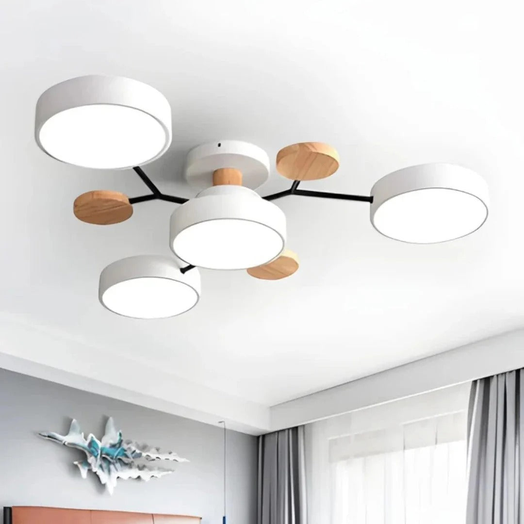 Moderne IJzeren LED Plafondlamp