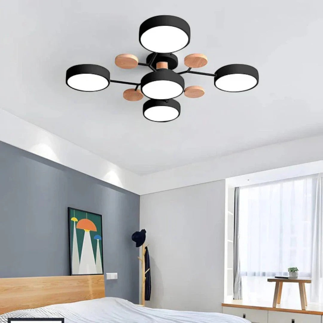 Moderne IJzeren LED Plafondlamp