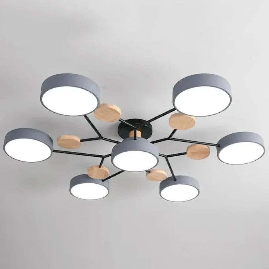 Moderne IJzeren LED Plafondlamp