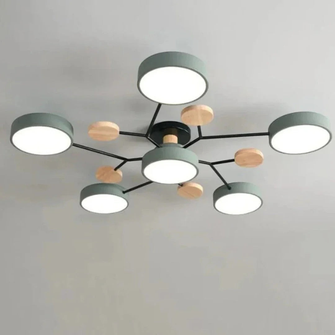 Moderne IJzeren LED Plafondlamp