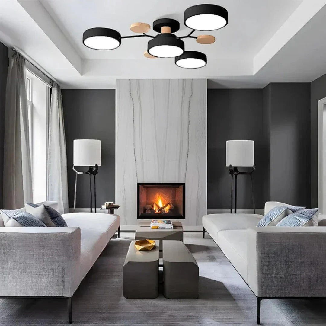 Moderne IJzeren LED Plafondlamp